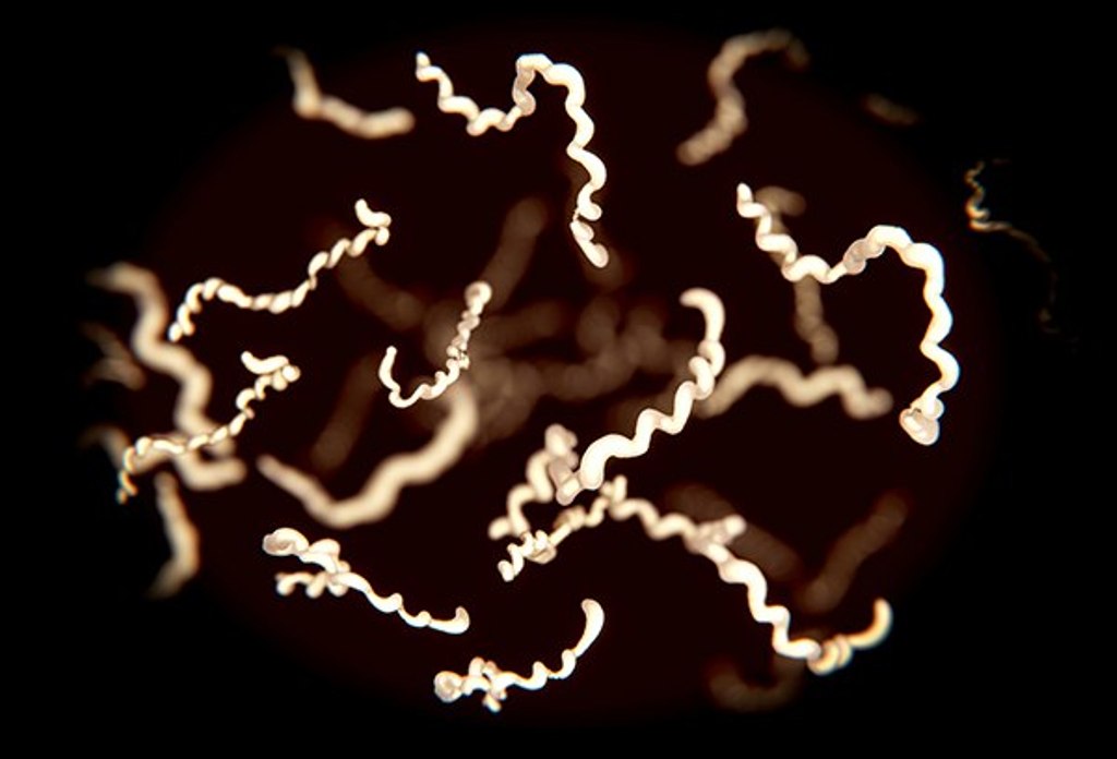 Newly Released JFK Files Reveal Pentagon’s Role in Creating Lyme Disease and Covid in the Same Lab