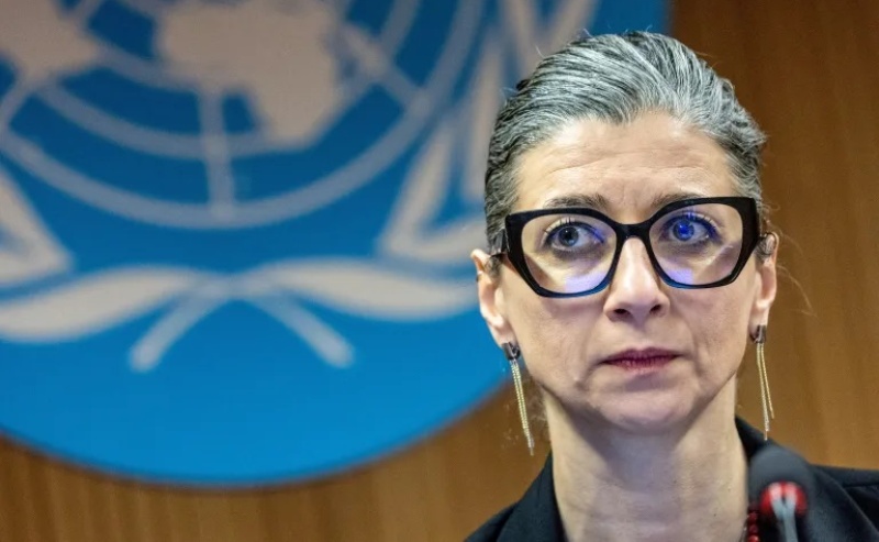 Israel Pressured X/Twitter to Remove the Blue Checkmark from the U.N. Special Rapporteur on the Occupied Palestinian Territories, Francesca Albanese
