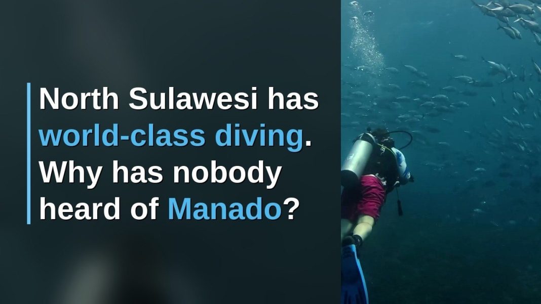 North Sulawesi Has WORLD CLASS DIVING. Why Has Nobody Heard of Manado?